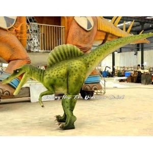 China Costume de dinosaure réaliste de couleur personnalisée, costume de dinosaure animatronique réaliste wholesale