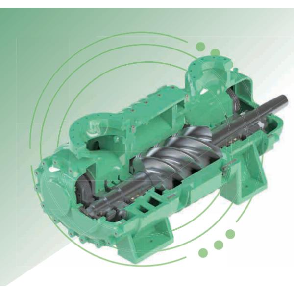 Screw Expansion Unit Natural gas value station decompression power generation Expander Supplier