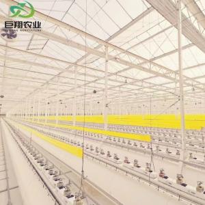 Hydroponic JX-Film Green House for Vegetables Tomato/Cucumber Pepper Flowers and Fruits