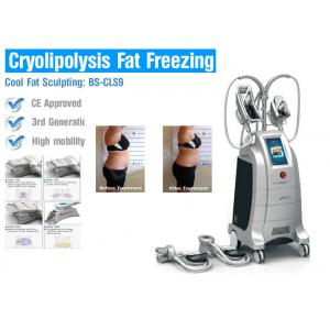 Cryolipolysis Fat Freezing Body Slimming Machine No Surgery For Body Slimming