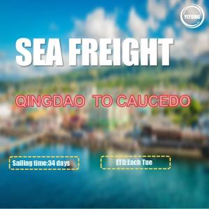 34 Days International Sea Freight Shipping From Qingdao To Caucedo Dominican