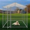 China Breathable 4m Dog Run Kennel For Pet Safety wholesale
