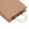 China Custom Offset Printing Kraft Paper Gift Bag With Twisted Handle wholesale