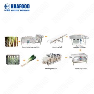 Fruit And Vegetable Processing And Cleaning Line Leaf Vegetables Bubble Washing Machine