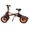 ON SALE Two Wheels Front Foldable Electric Scooter For Adults With USB Charger