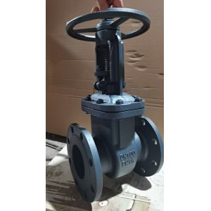 China ASME B16.10 Cast Iron Gate Valve with 150 - 300 PSI Pressure Rating and API 598 Testing Standard wholesale