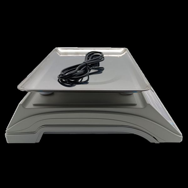 White Computerized Mass Monitoring Tool Weighing Units Kg / G / Lb / Lb.oz / Pcs for Accurate Monitoring