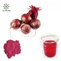 Pure Natural Beetroot Extract Powder For Food Ingredients