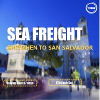 China Shenzhen To  San Salvador International Ocean Logistics Via ACAJUTLA on sale