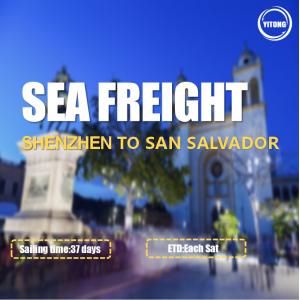 Shenzhen To  San Salvador International Ocean Logistics Via ACAJUTLA