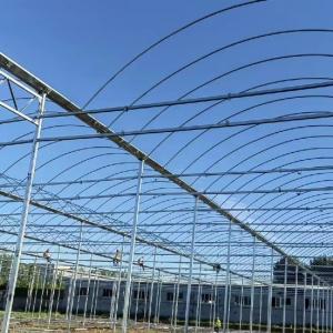 JX-A0038 Multi Span Plastic Film Greenhouse for Garden Products at in US Currency