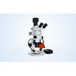 China Stereo fluorescence microscope for GFP supplier