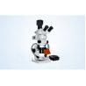 China Stereo fluorescent microscope LED fluorescent illumination wholesale