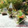 Hot sales low price Geometric plant terrarium for Garden home decoration