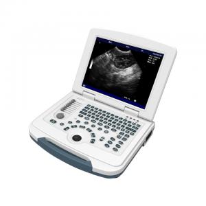 China PC Platform Veterinary Ultrasound Machine 12.1'' LCD Animal Ultrasound Scanner supplier