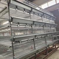 China 4 Doors q235 H Type Battery Broiler Equipment 3 Layers Poultry Shed on sale