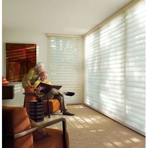 China Automatic Battery Operated Motorized Blackout Zebra Roller Blinds Curtains For Windows Zigbee APP wholesale