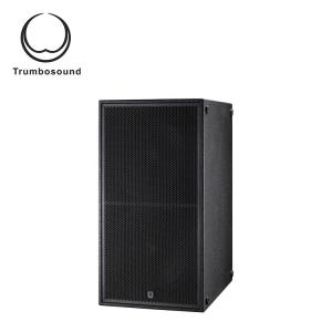Dual 18 inch subwoofer box super bass speaker outdoor DJ subwoofer 1200Wrms TR218B