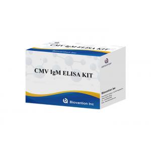 Laboratory Or Hospital High Precision Antibody IgM To Cytomegalovirus (CMV) ELISA TEST KIT