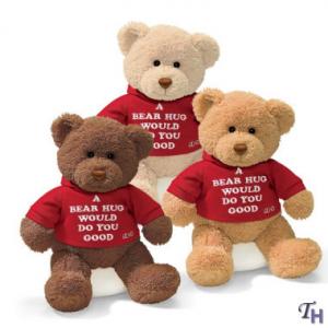 China Personalized Plush Toys Three Brown Family Teddy Bear With T shirt supplier