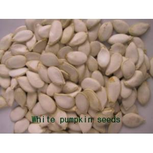 Seeds,Snow White Pumpkin Seeds