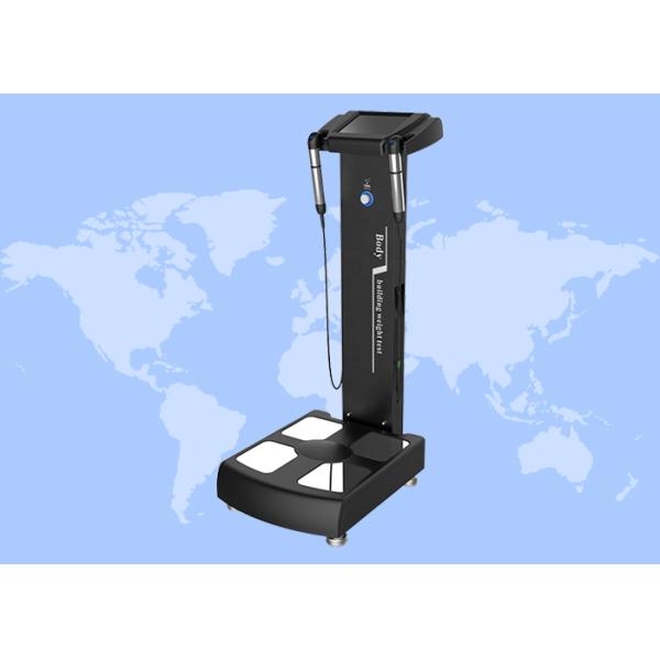 Smart Fat Loss Analyzer BMI Analyzer Body Composition Analyzer Machine