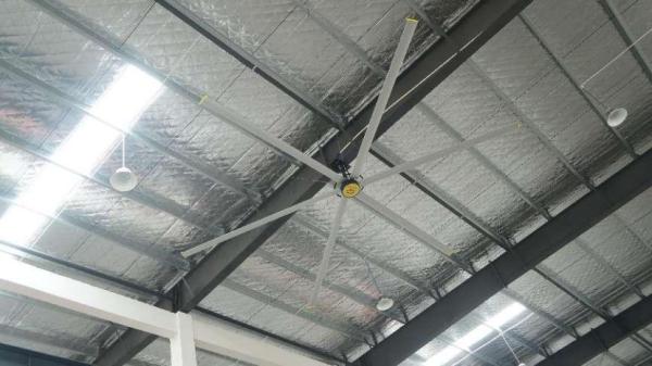 Powerful 6pcs Alloy Blade Industrial Ceiling Fan With Variable Speed Control