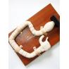 Human Sigmoidoscope Training with Vivid Large Intestine Model and Life Size Simulator