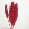 Factory Price Dry Flower Preserved Broomcorn Dry Sorghum For Decoration