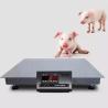 China HLT-TCS Floor Scale 1t 3t 5t Electronic Bench Scales with Indicator Display Steel Material and OEM Support Pan 0.8m*0.8m wholesale
