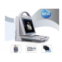 China Mobile Ultrasound Scanner Portable Ultrasound Scanner with Transvaginal Linear Convex Probe on sale