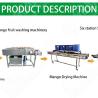 Customize Vegetable Cutting And Washing Line Tomato Production Processing Line Vegetable Process Machine