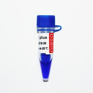 Blue Appearance 50bp DNA Ladder Electrophoresis 50ug