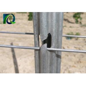 Silver Galvanized C Type Vineyard Poles , Grape Vine Posts Size 2.0MM X 2.5M