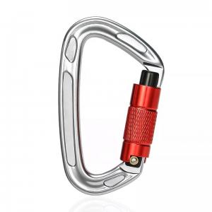 China Sale Polished Aluminum Alloy Dog Leash with Precision Casting Screwgate Carabiner supplier