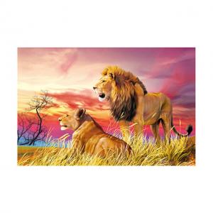 China PET 50*70cm 3D Lenticular Pictures , Custom 3d Lenticular Photo With Frame supplier