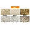 China Wenyao Quinoa Coffee Beans Rice Grain Color Sorting Color Sorter Dry Vegetable Clean Sorting Machine wholesale