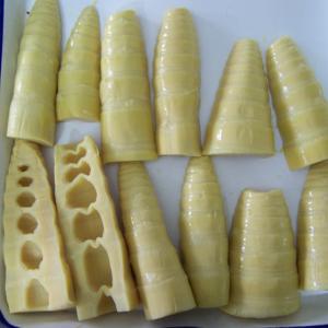 Sweet Flavor Canned 100% Fresh Bamboo Shoot Steamed Processing Type