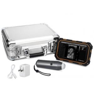 China Mini Wifi Handheld 160MM 5.0MHz Portable Veterinary Ultrasound Machine Waterproof supplier