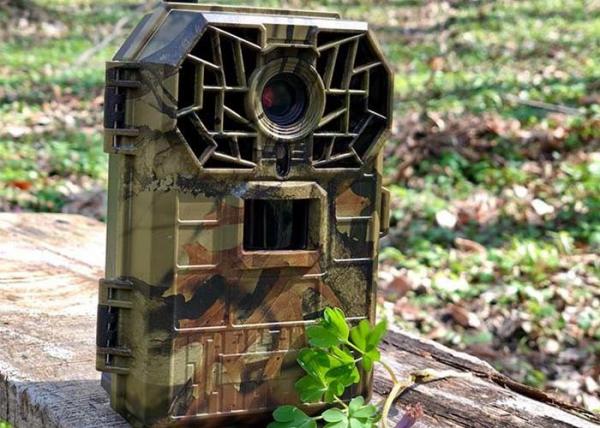 Wild Game Deer Scouting Cameras Mini Wireless Tree Cameras For Hunting