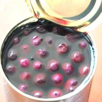 China Vitamins Contained Organic Canned Fruit  Blueberry Tin Naturally Sweet For Desserts on sale