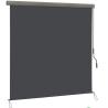 China Sun and Privacy Protection Extendable Outdoor Roller Blind with Hand Crank Mechanism wholesale