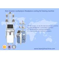 China Cryolipolysis Fat Freezing loss Slimming Machine Vacuum Cavitation Rf Machine on sale