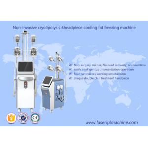China Cryolipolysis Fat Freezing loss Slimming Machine Vacuum Cavitation Rf Machine supplier