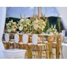 China Wedding Party Event Stainless Steel Bar Stool for Dining Room Bar wholesale
