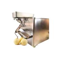 China Automatic Fruit Skin Peeler Yellow Peach Apple Lemon Orange Persimmon Peeling Machine on sale