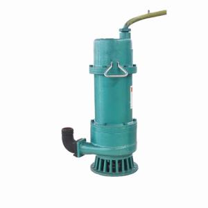 China 2.2kw 3HP WQ Series Non Clogging Submersible Effluent Sewage Pump For Heavy Duty Applications wholesale