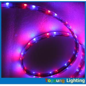 whole sale 220V 50 meter RGB spool chasing  led strip 5050 SMD trade 60LED/m