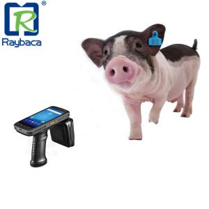 China Leitor Handheld Support Second Development do sistema RFID da frequência ultraelevada 960Mhz Android supplier