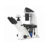 China 40X biológico invirtió el microscopio óptico WF10X/22mm Trinocular wholesale